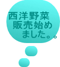 西洋野菁E 販売始め ました。、E><br>
<br>
<font size=